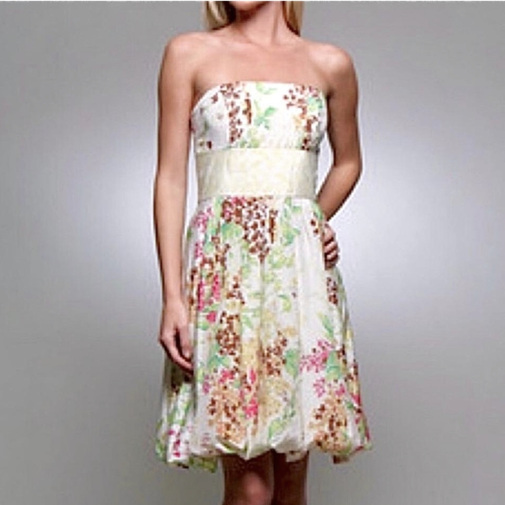 Anthropologie Plenty Tracy Reese Silk Cotton Floral Dress Knee Length Romantic